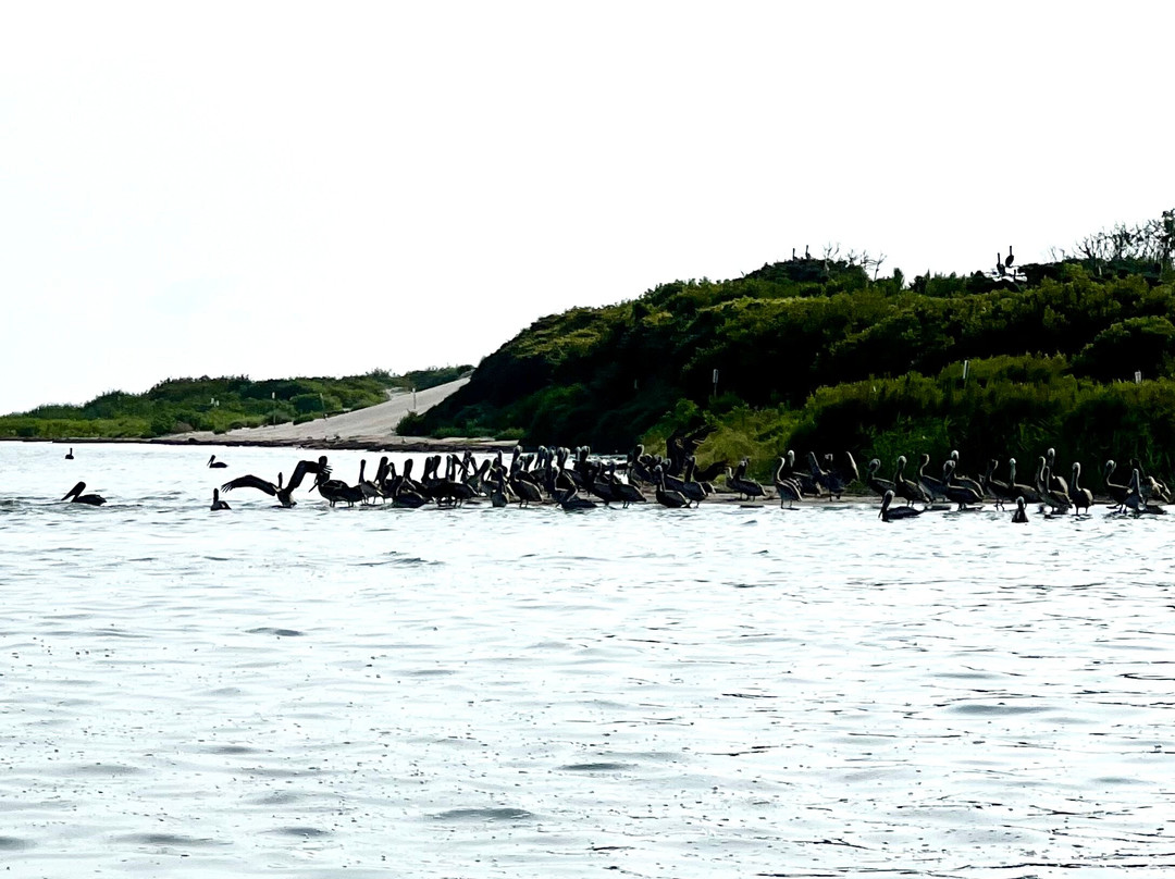 Kitty Hawk Kites - Nags Head-纳格斯海德必去景点