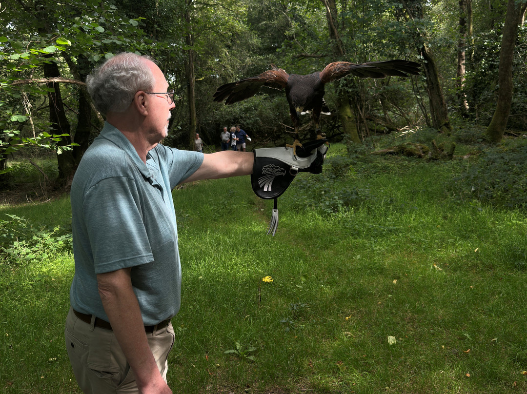 Falconry Ireland-Arklow必去景点