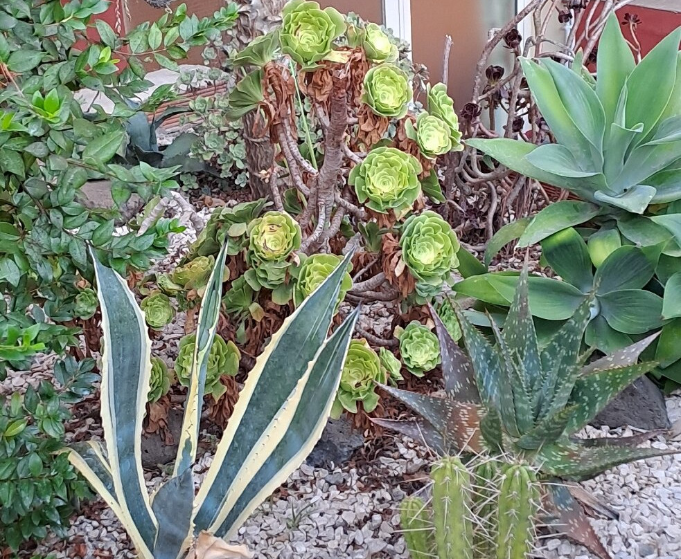 Il Mirto Bed and Breakfast主图