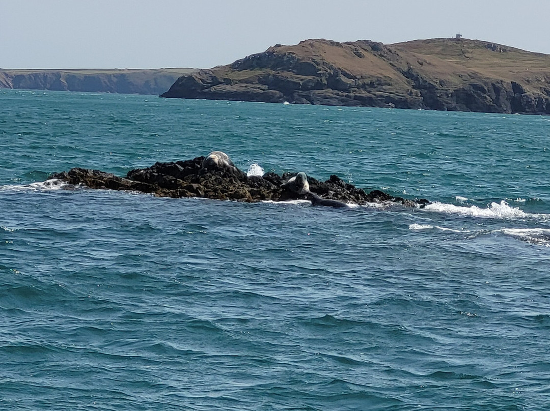Pembrokeshire Islands Boat Trips-Marloes必去景点