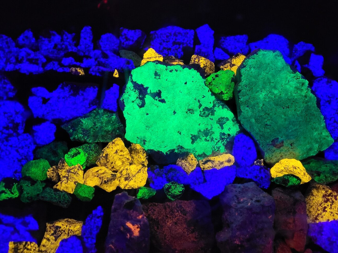 Sterling Hill Mining Museum-Ogdensburg必去景点