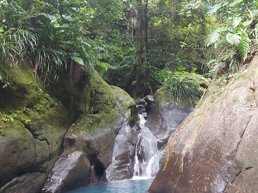 Cascades du Bassin Bleu-Gourbeyre必去景点