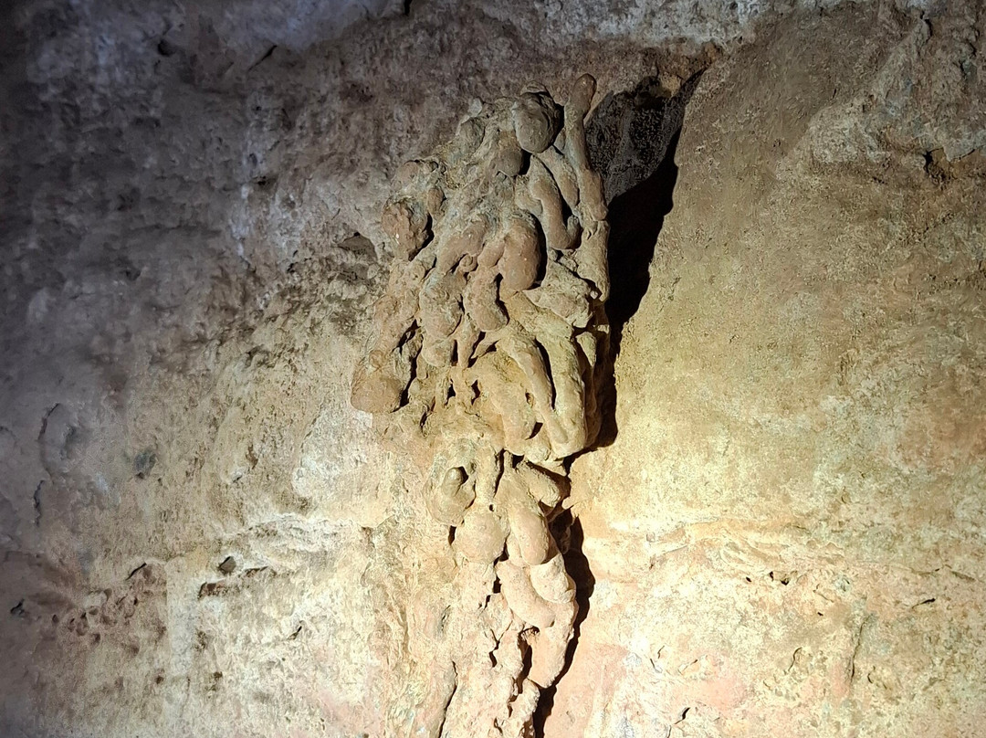 Undarra Lava Tubes-Undara Volcanic National Park必去景点