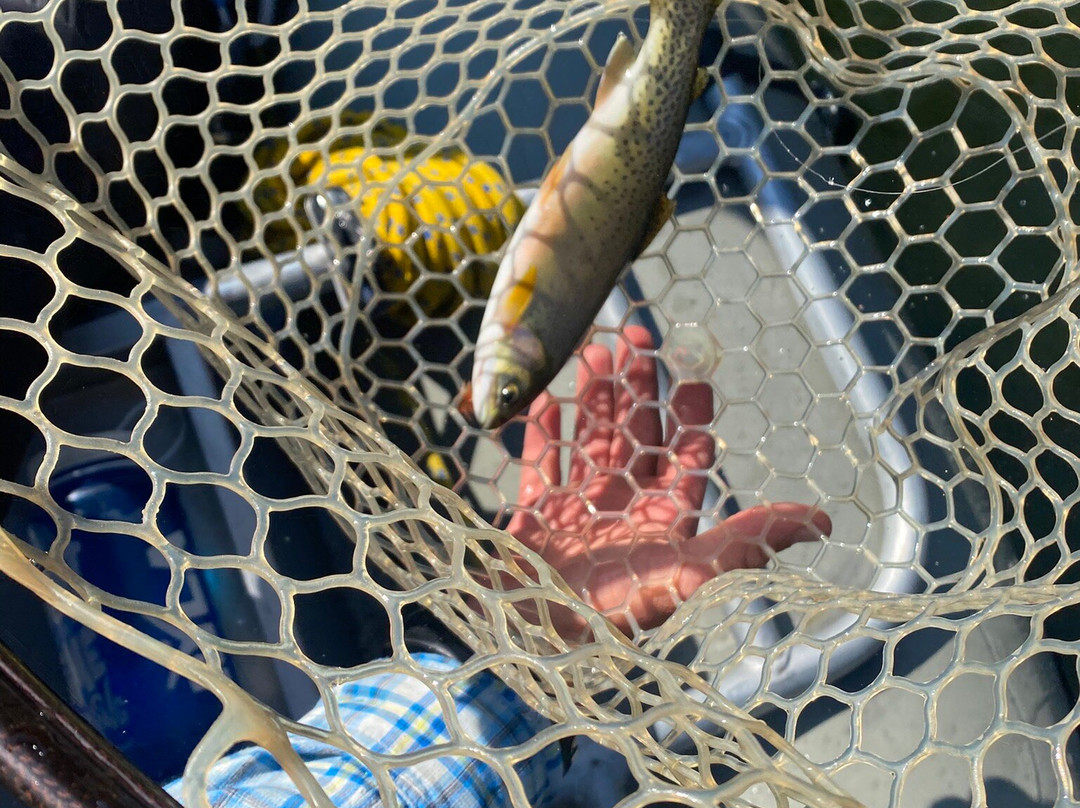 White Cloud Rafting Adventures-Stanley必去景点