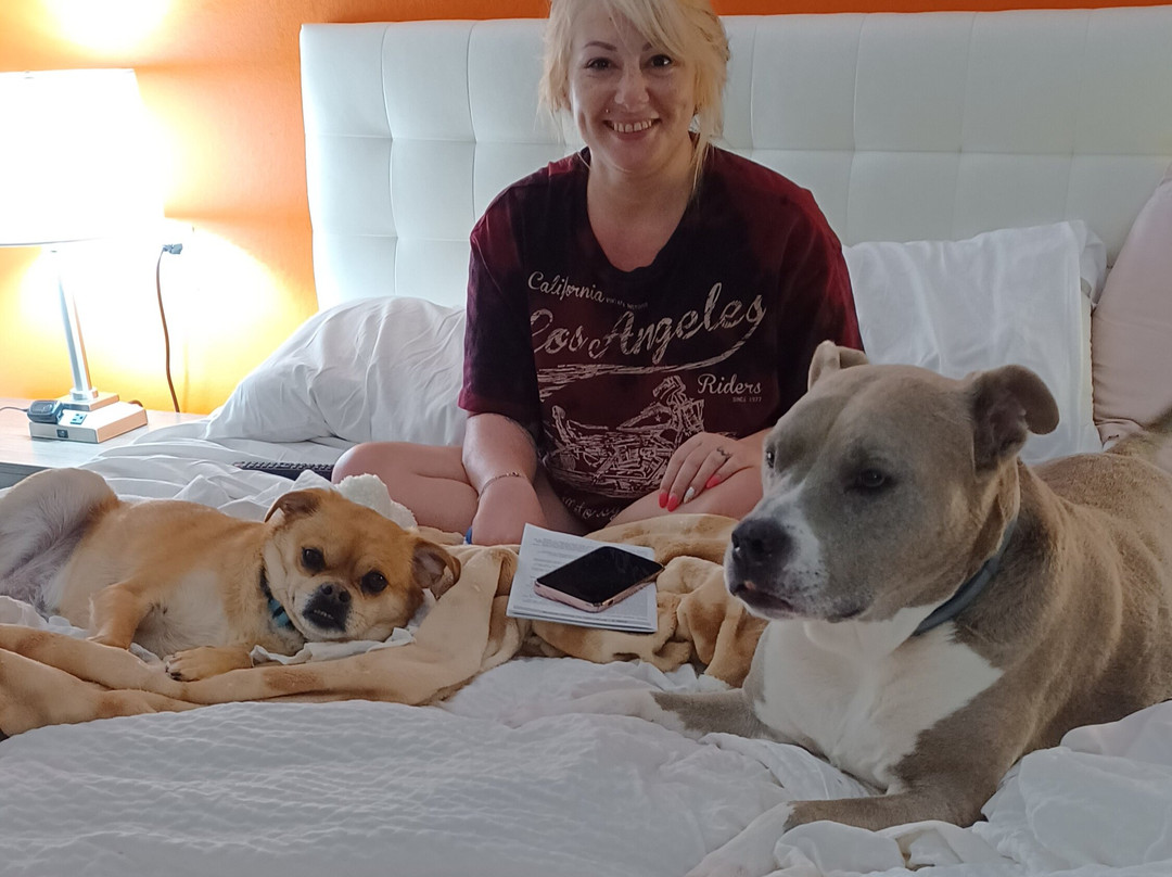 Howard Johnson by Wyndham Lexington主图