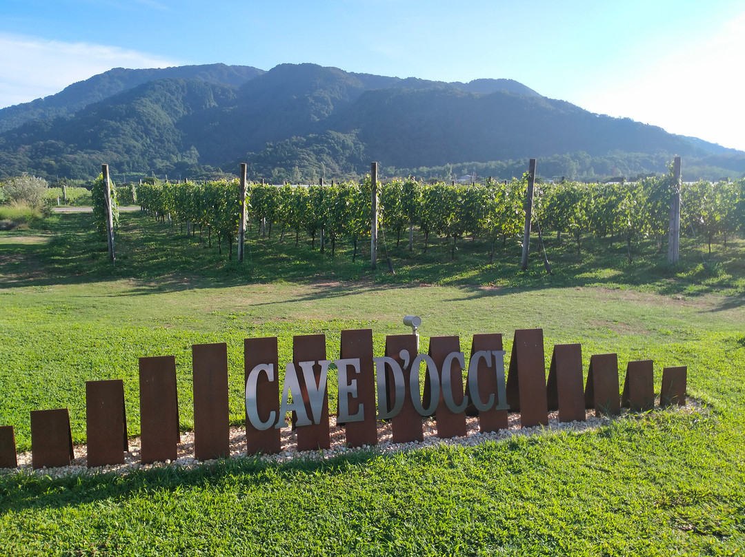 Cave D'occi Winery-新泻市必去景点