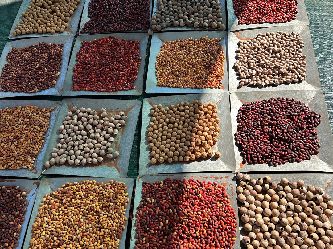 Karrke Aboriginal Cultural Experience & Tours-Kings Canyon必去景点