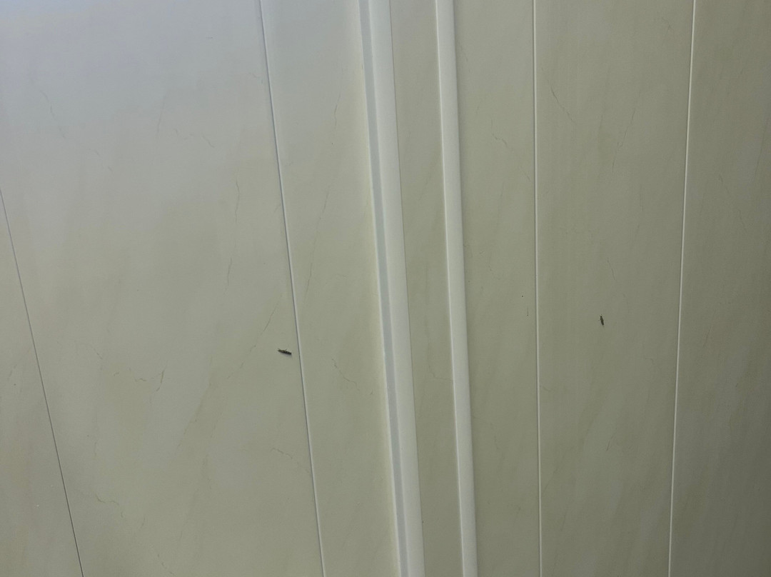 Osea Leisure Park-Maldon必去景点