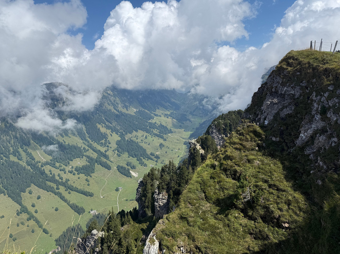 Niederhorn Berg-贝阿滕贝格必去景点