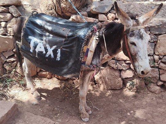 Agadir Safari Tours-阿加迪尔必去景点