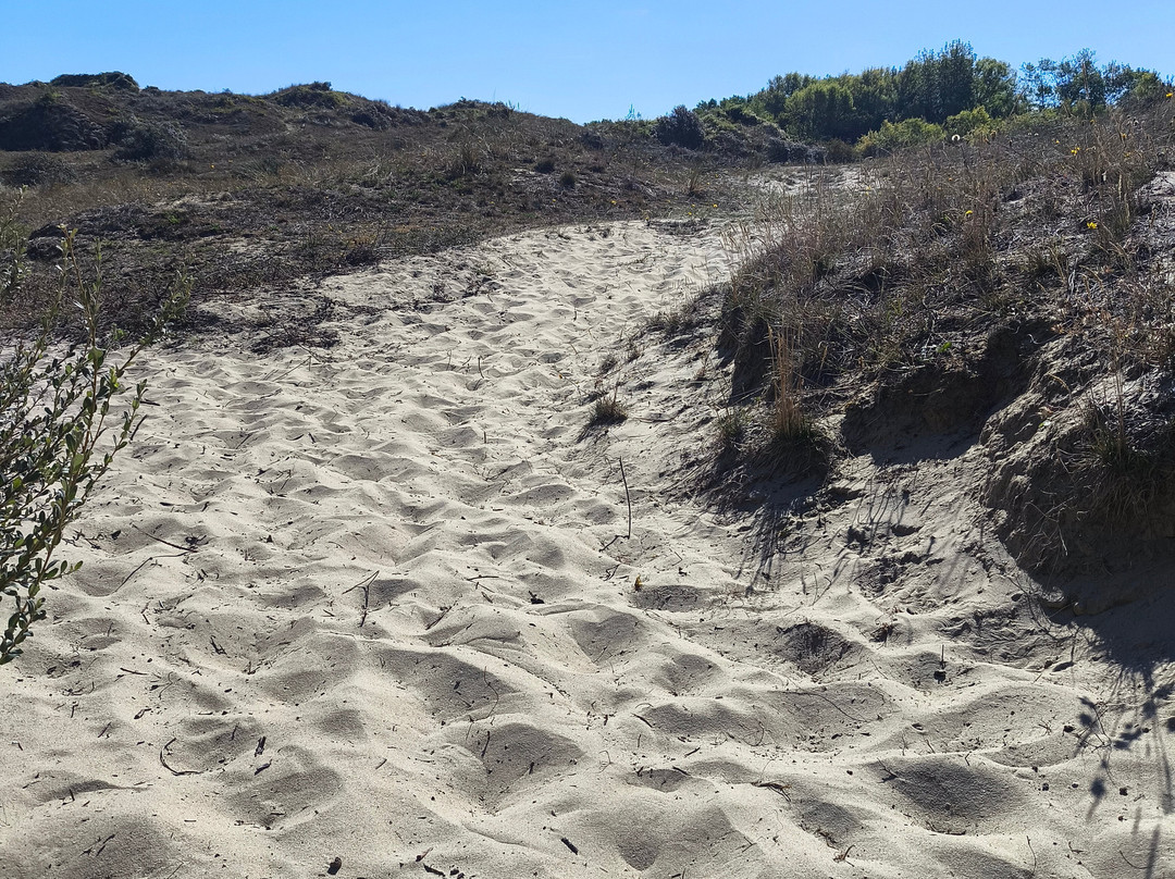 Dune du Perroquet-Bray-Dunes必去景点