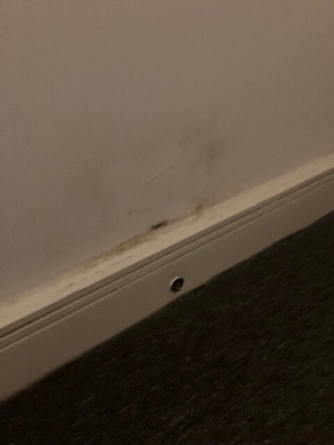 Celtic International Hotel Cardiff Airport主图