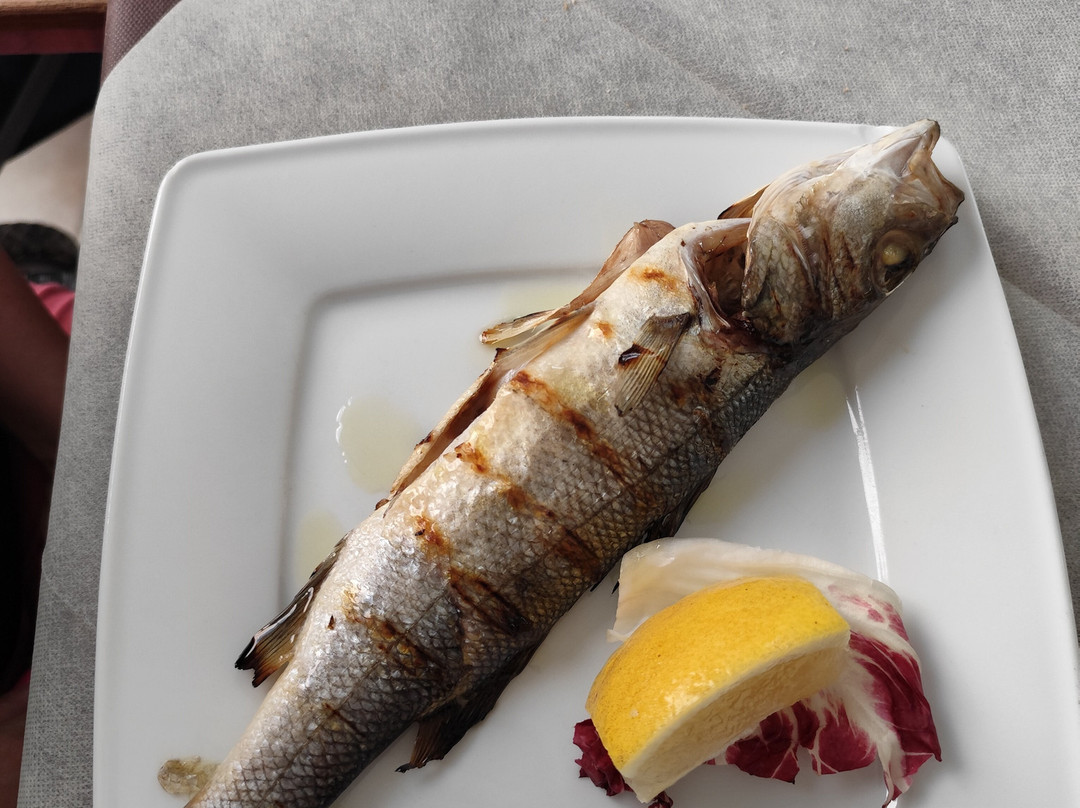 Villaggio Alba Chiara主图