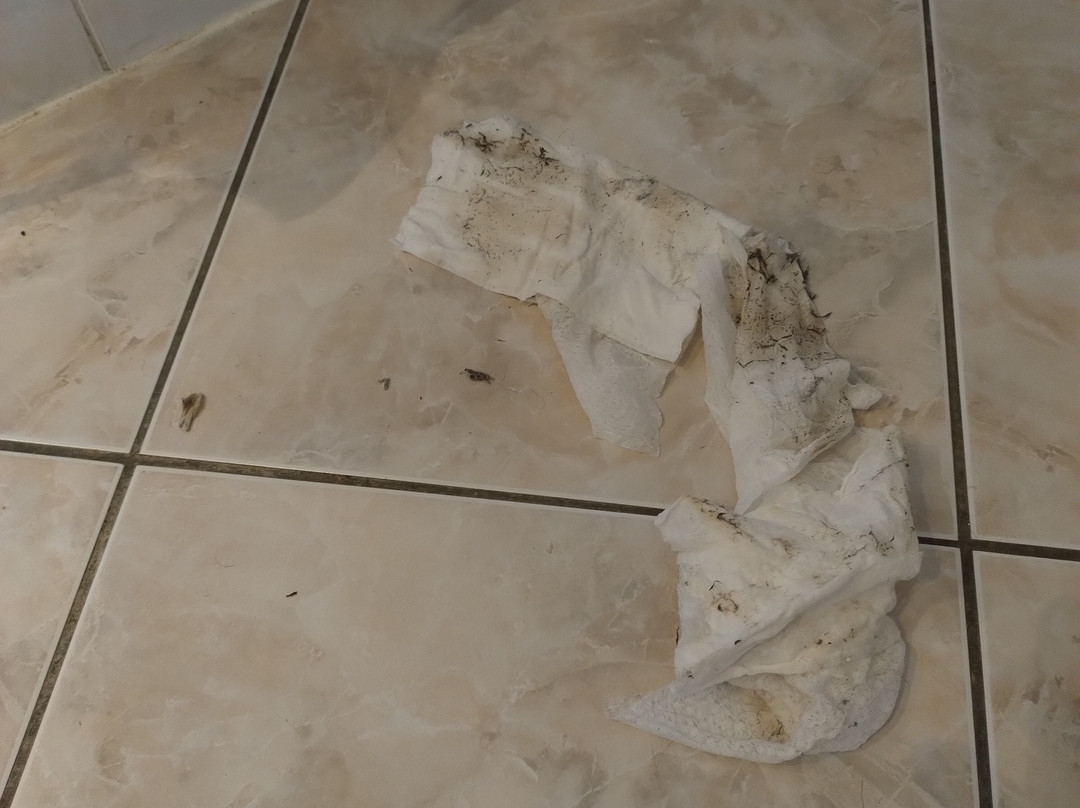 Hotel Restaurant la Rose des Vents主图