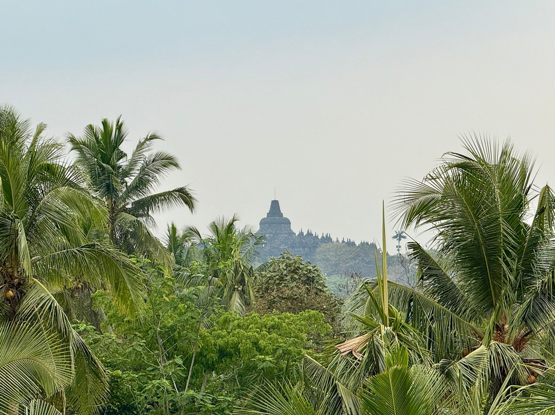 Hotel Le Temple主图