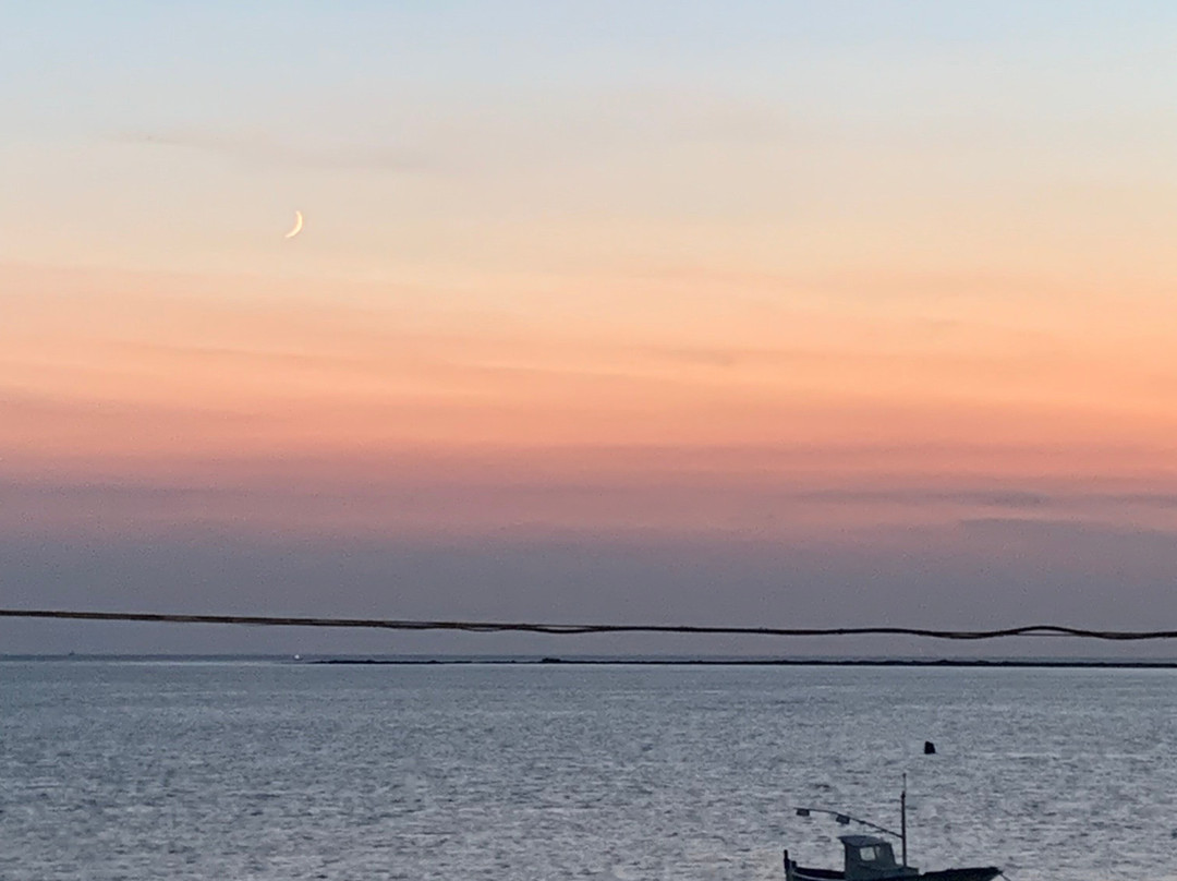 Al Vecchio Pontile主图