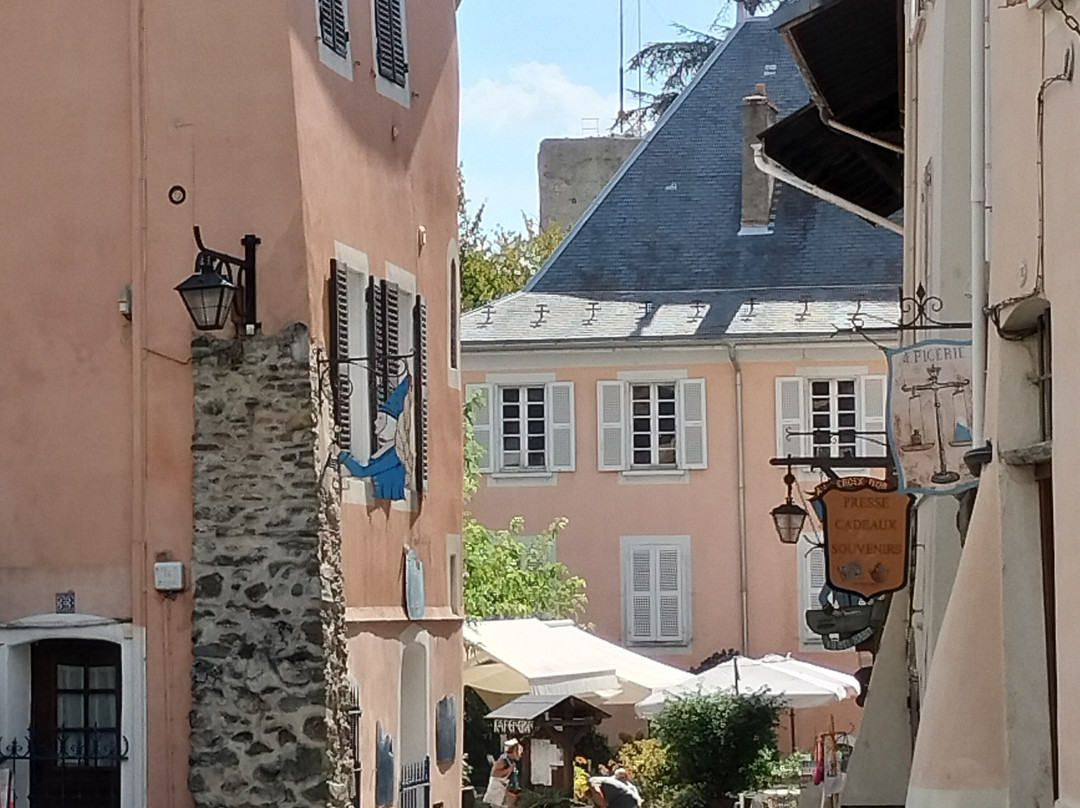 Cite Medievale de Conflans-阿尔贝维尔必去景点