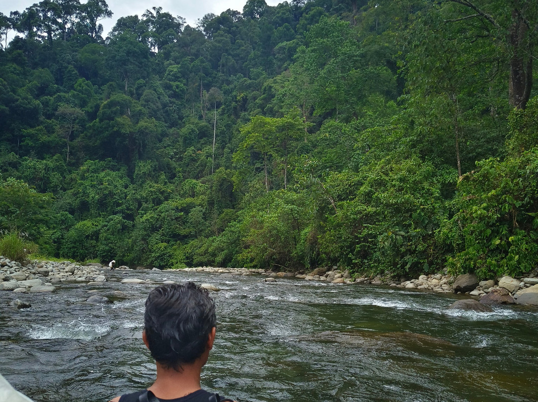 Sumatra Orangutan Tours-武吉拉旺必去景点