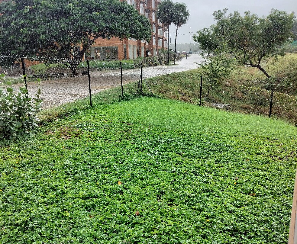 Adiyogi Shiva bust-孔巴托必去景点