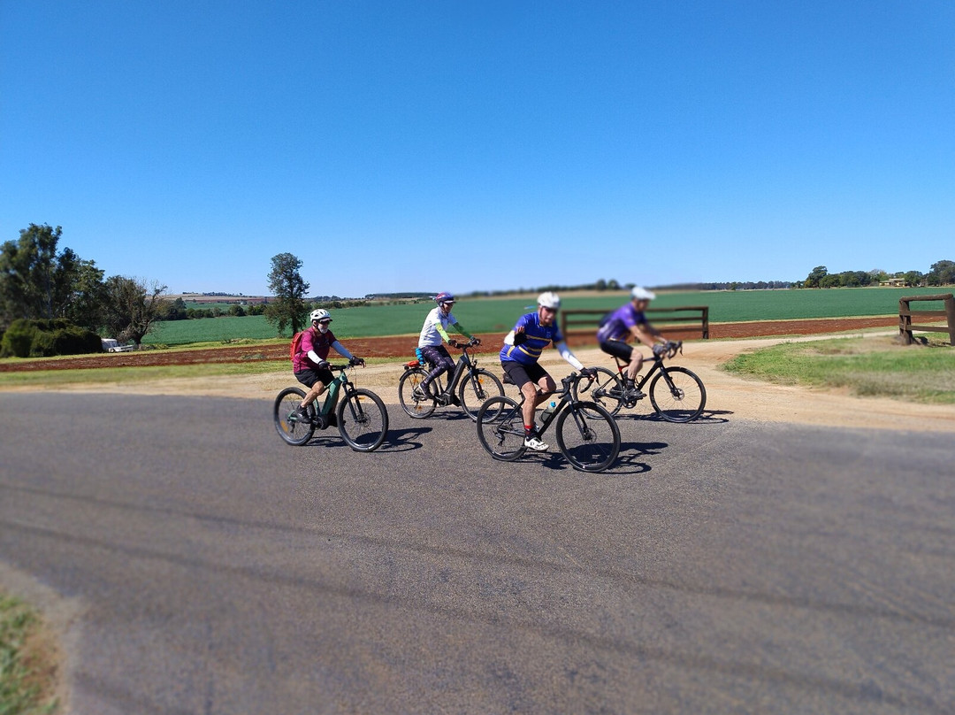 Ascot Lodge Motor Inn Kingaroy主图