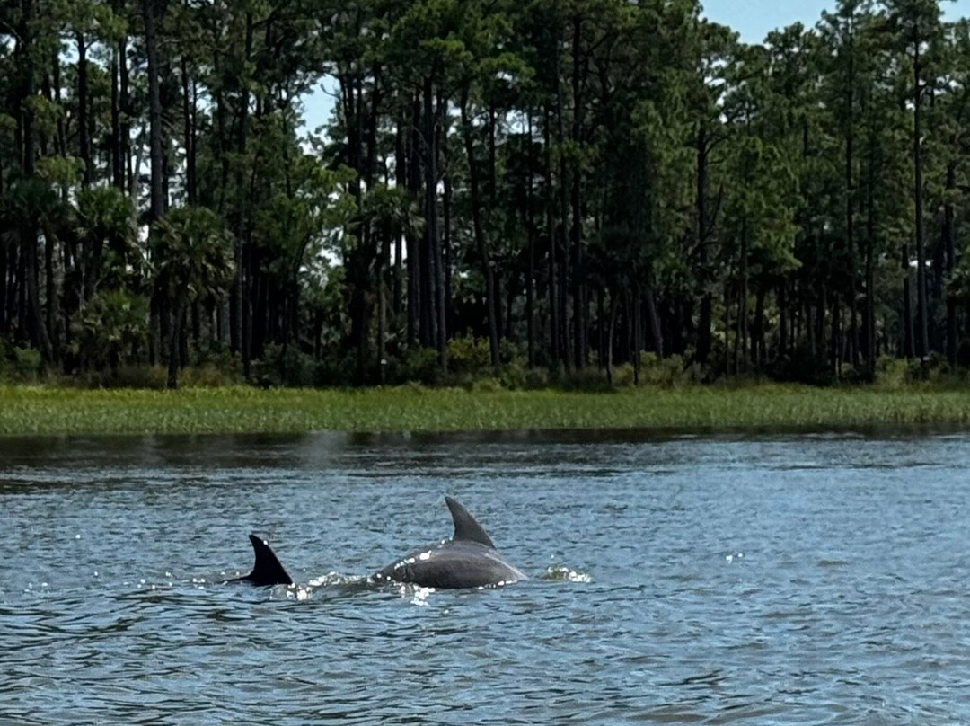 Bluewater Adventure-希尔顿头岛必去景点