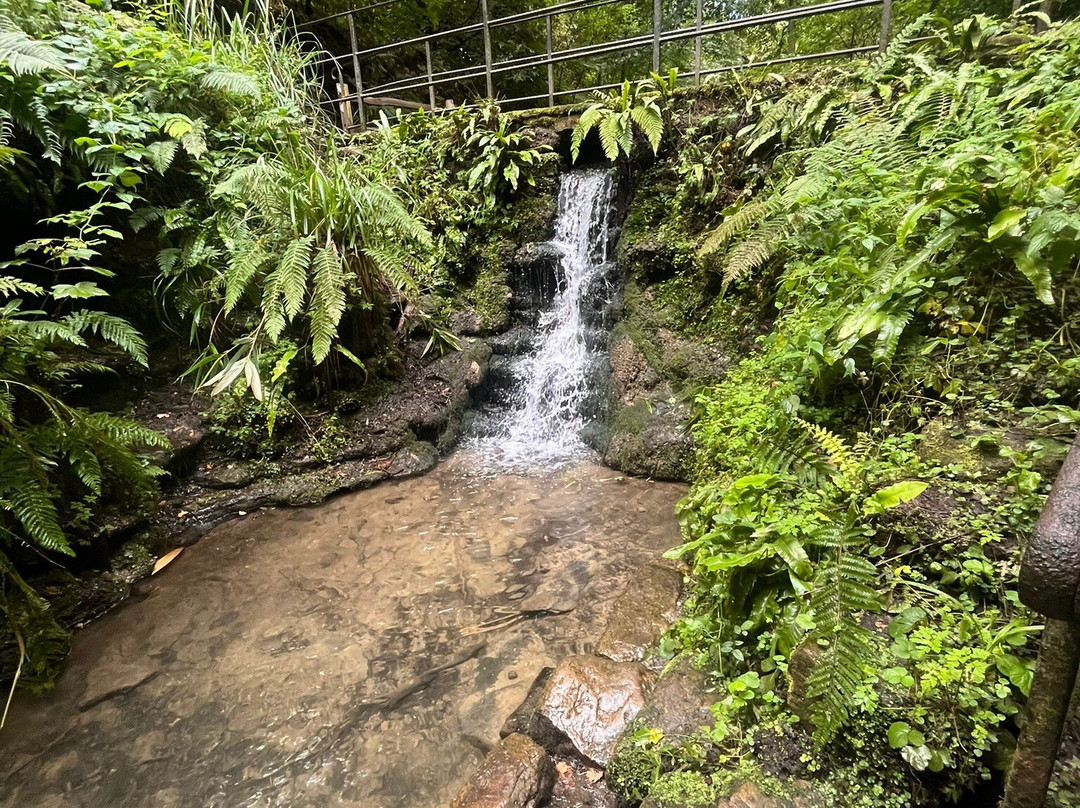 Ninesprings Country Park-约维尔必去景点