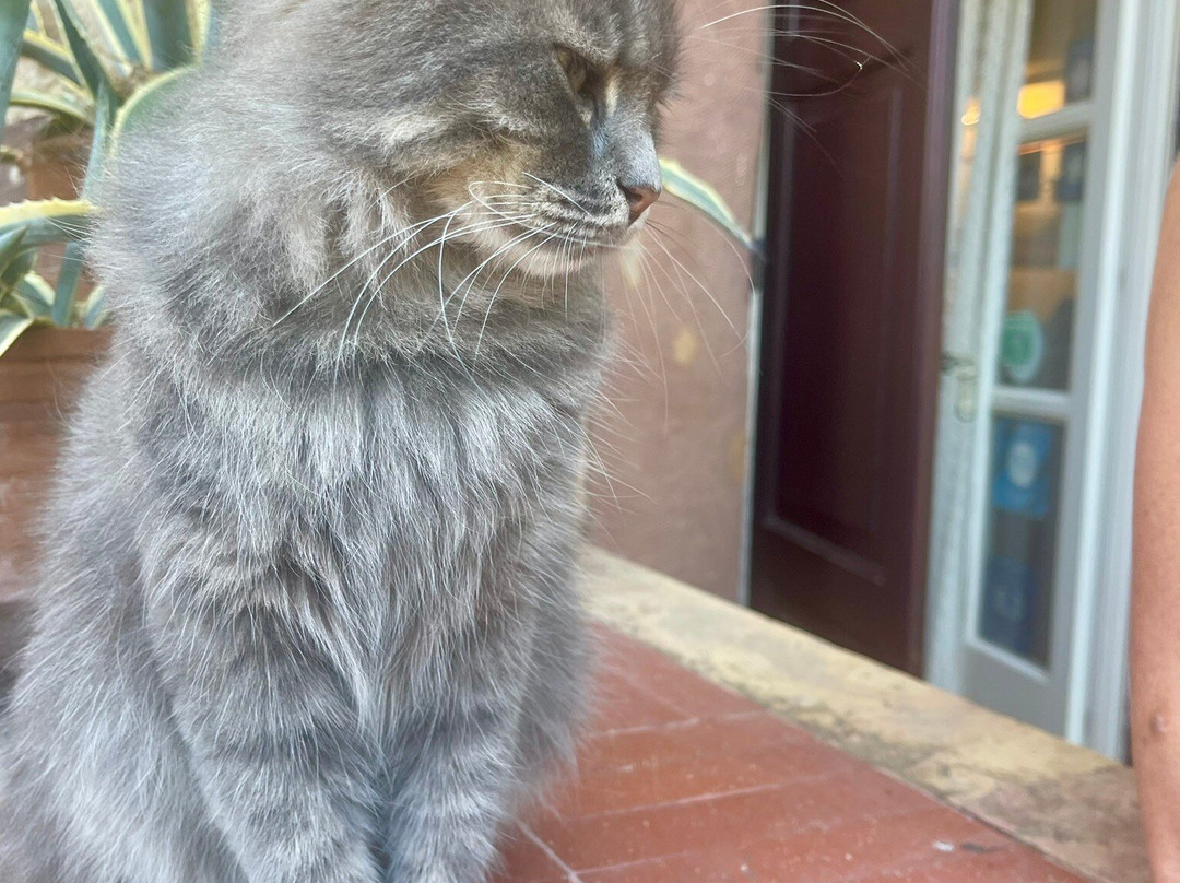 Perleas Mansion主图