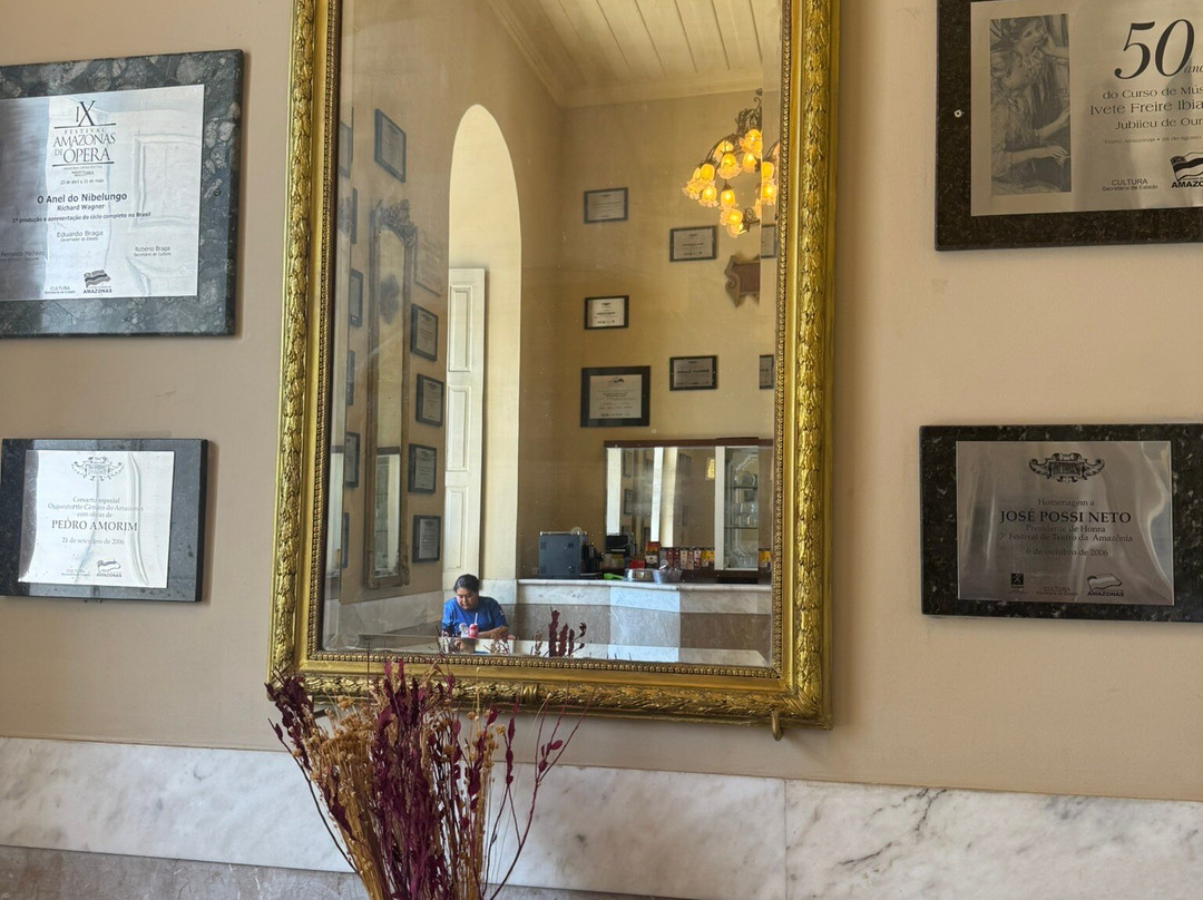 Palácio da Justica-玛瑙斯必去景点