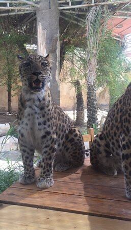 Emirates Park Zoo & Resort主图