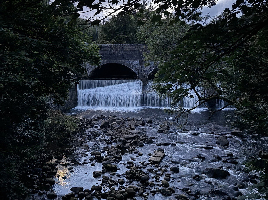 The New Swan Hotel主图