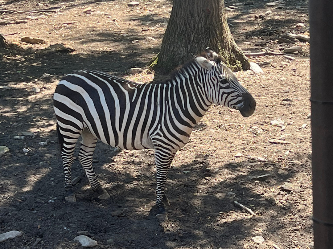 Catoctin Wildlife Preserve-Thurmont必去景点