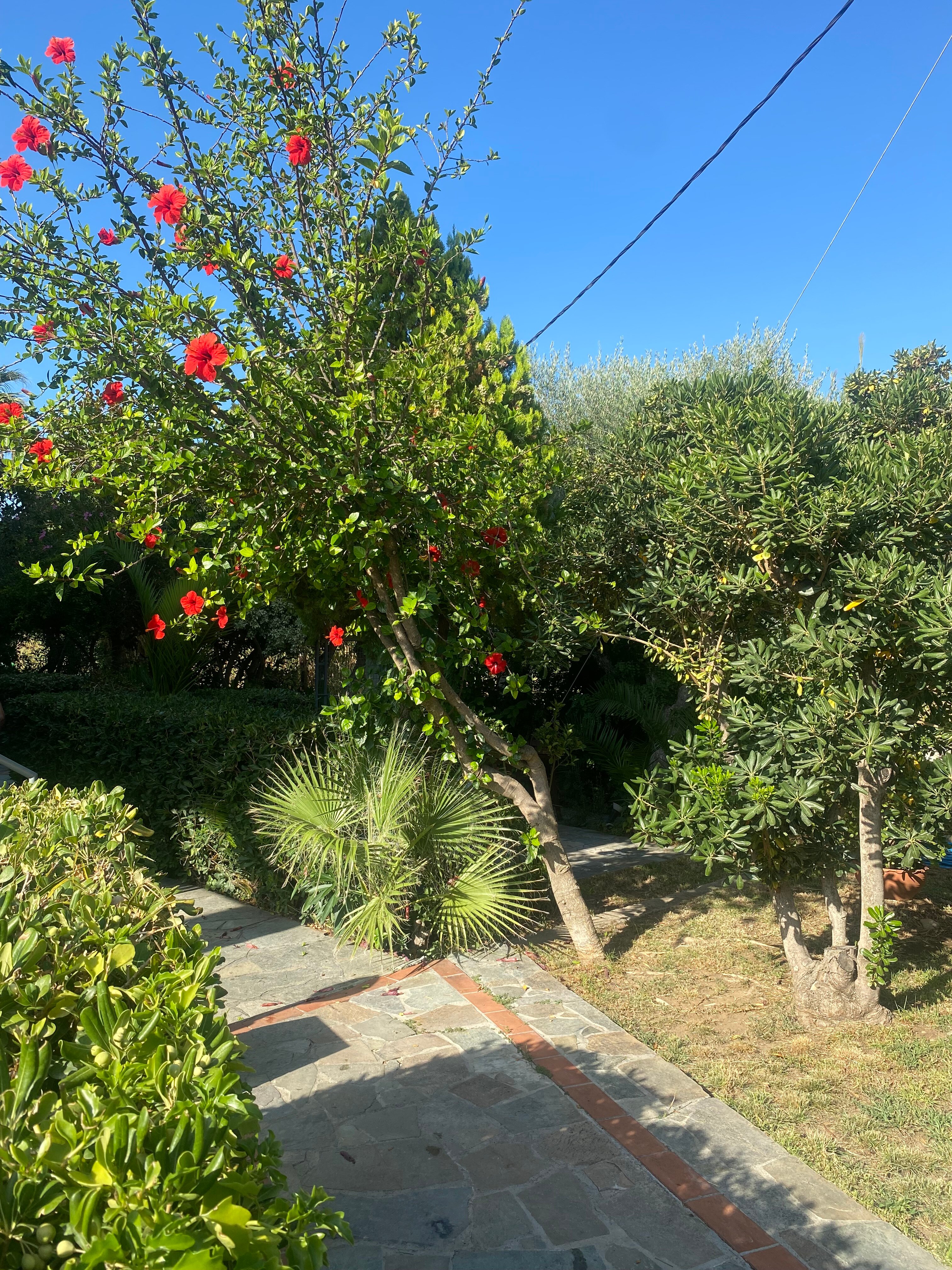 Proimos Apartments-官方