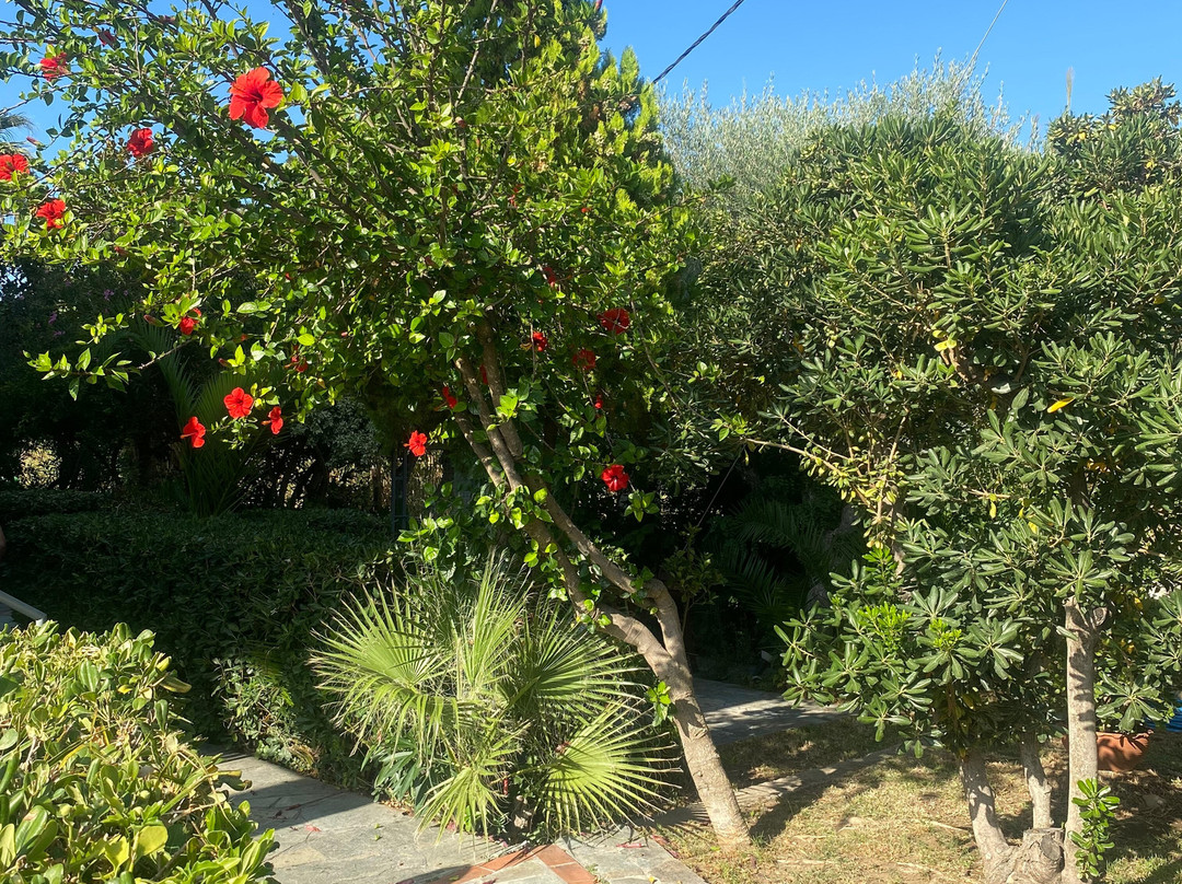 Proimos Apartments主图