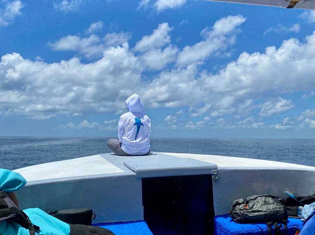 Sea Hawk Divers-女人岛必去景点