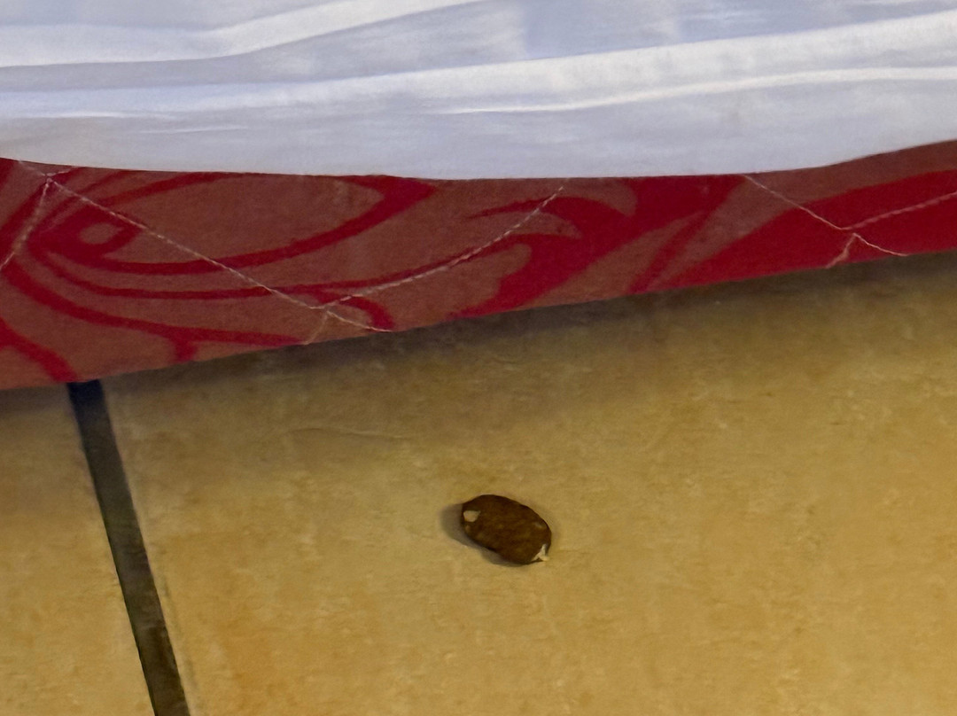 TUI MAGIC LIFE Kalawy主图