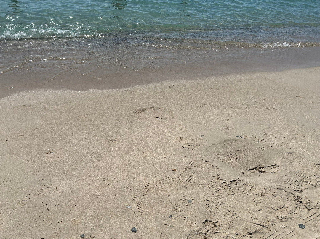 Spiaggia Del Lazzaretto-阿尔盖罗必去景点