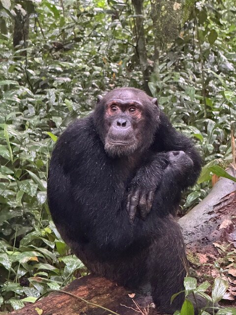 Terrace Uganda Safaris-卡巴莱必去景点