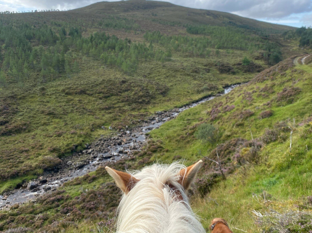 Highland Trekking and Trail Riding-Cannich必去景点