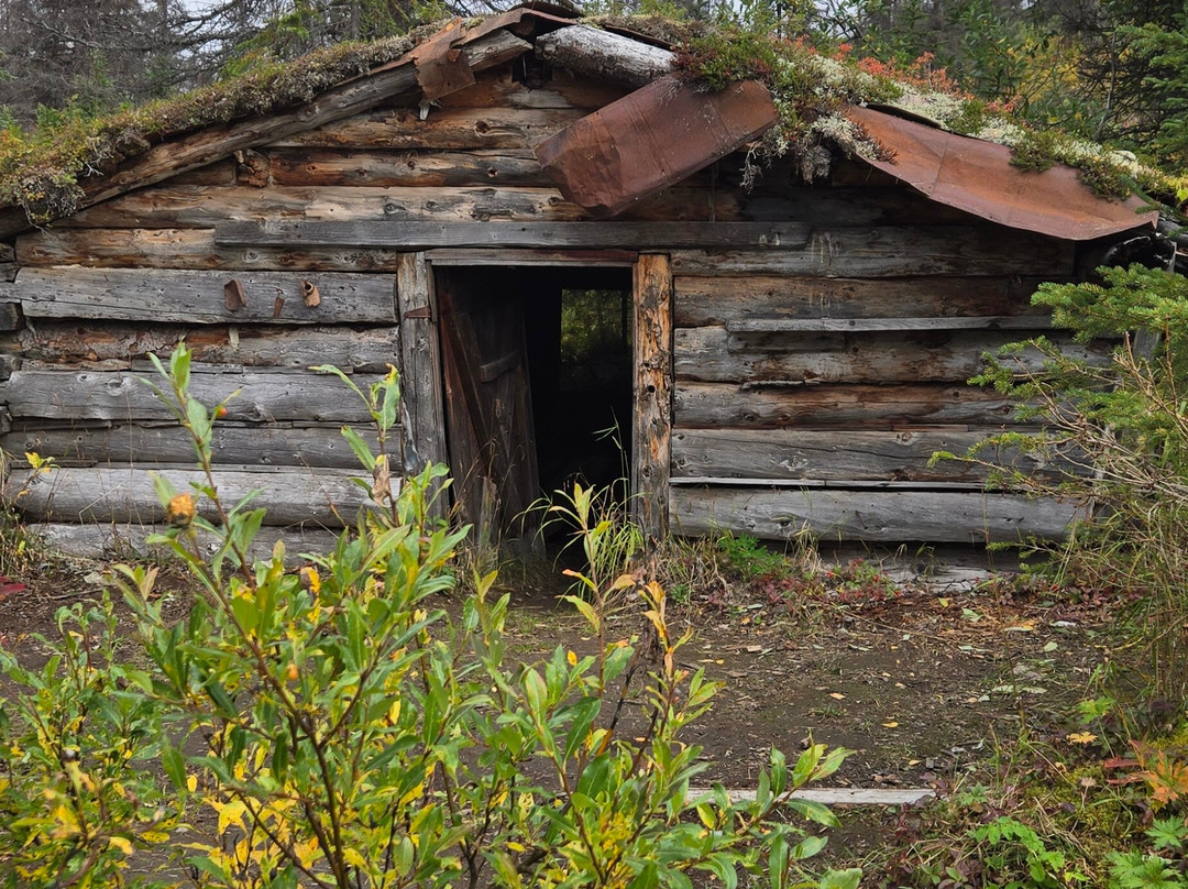 Snowhook Adventure Guides of Alaska-Willow必去景点