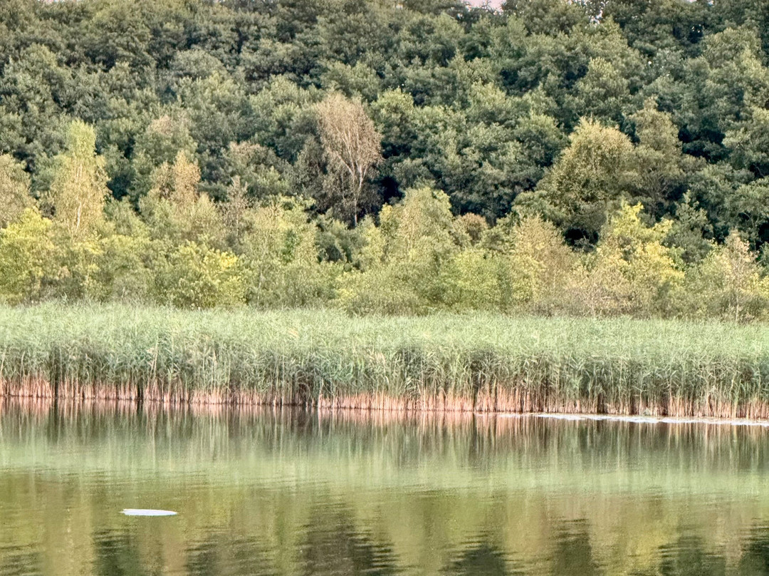Le Boat - Marina Wolfsbruch-Kleinzerlang必去景点