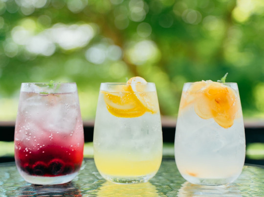 Kiyokawa Kogenhoyo Center