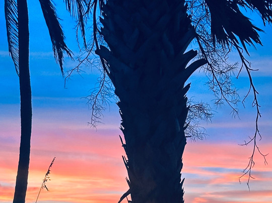 Flip Side Charter-萨尼贝尔岛必去景点