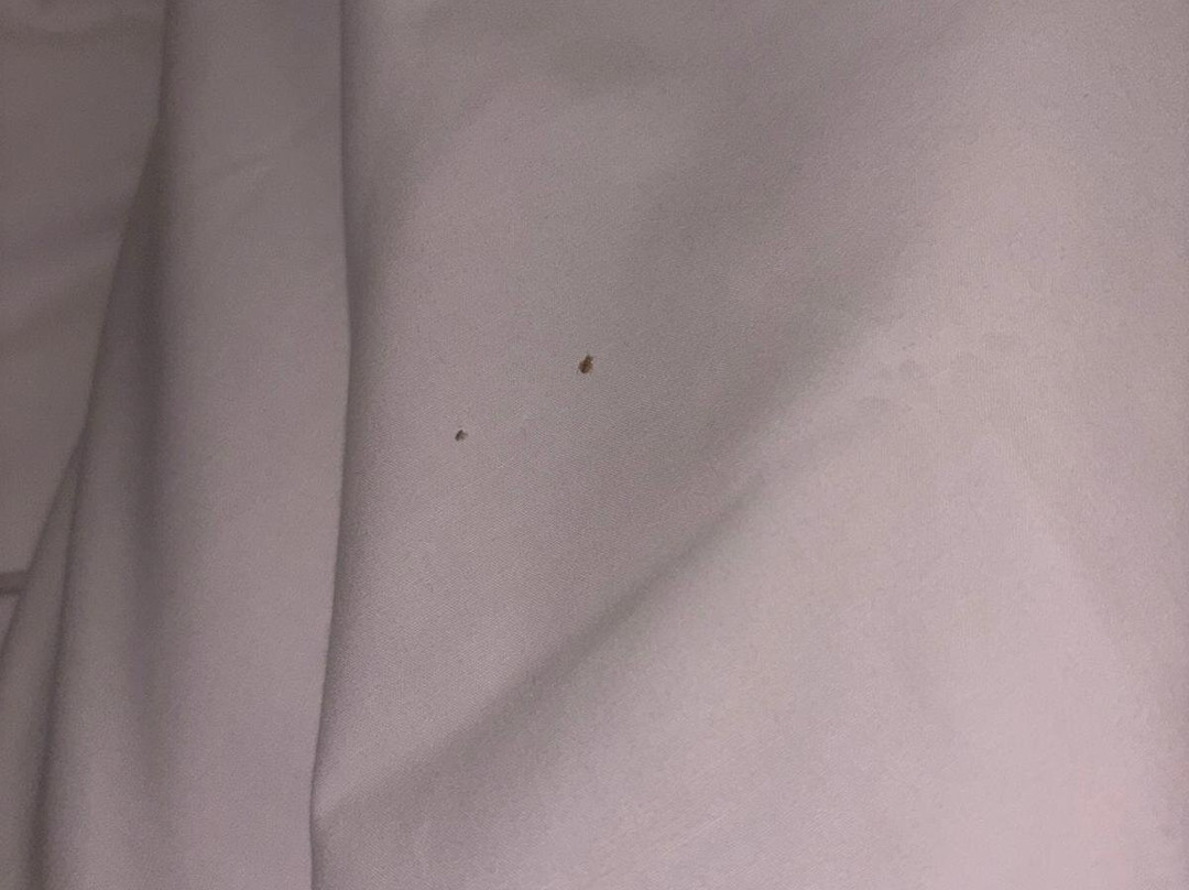 Travelodge London Stratford主图