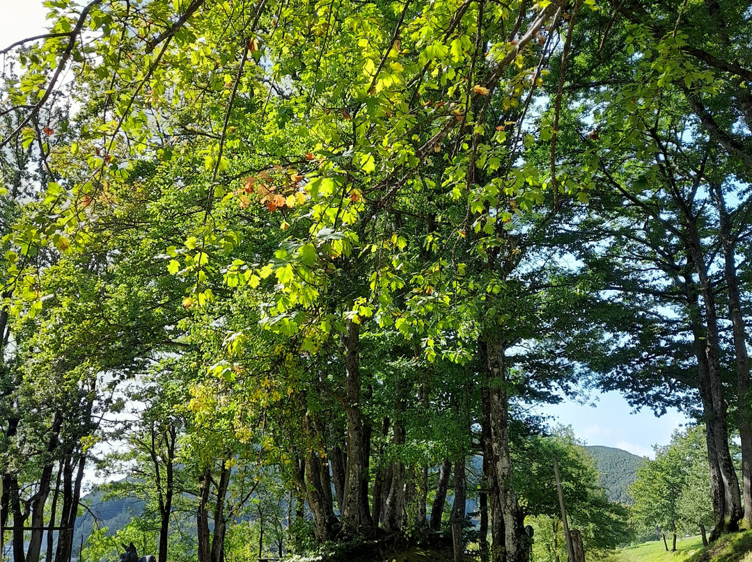 Chiesa di Santa Rita al Brasimone-Camugnano必去景点