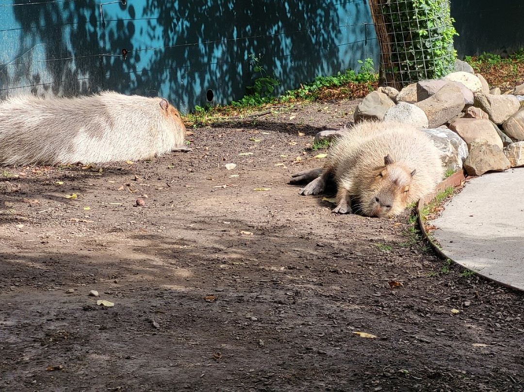 Boerderij Daalhoeve-马斯特里赫特必去景点