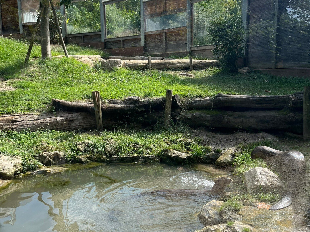 Parco Natura Viva-布索伦戈必去景点