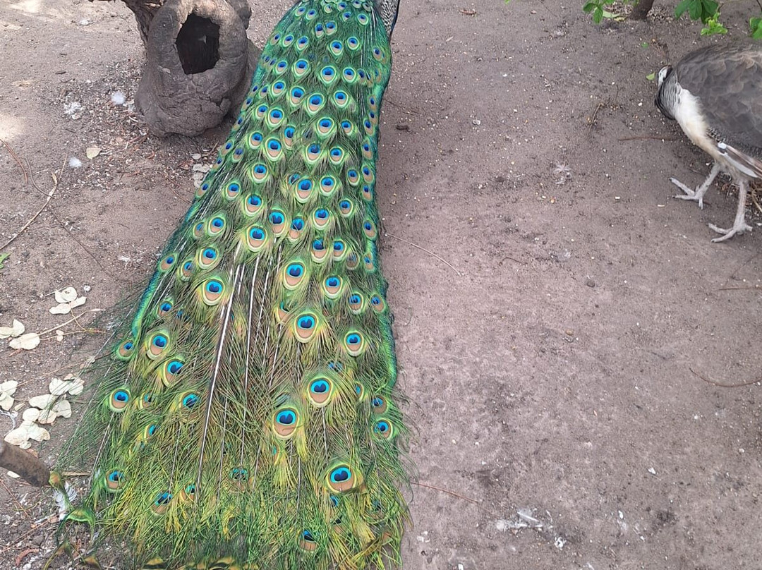 Hosteria El Abuelo主图