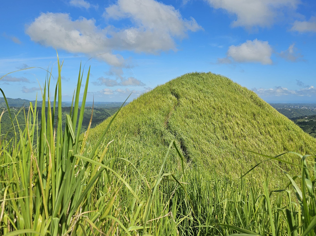Cerro Mime-Orocovis必去景点