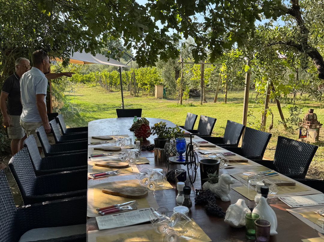 A Solatio Organic Farm-切塔尔多必去景点