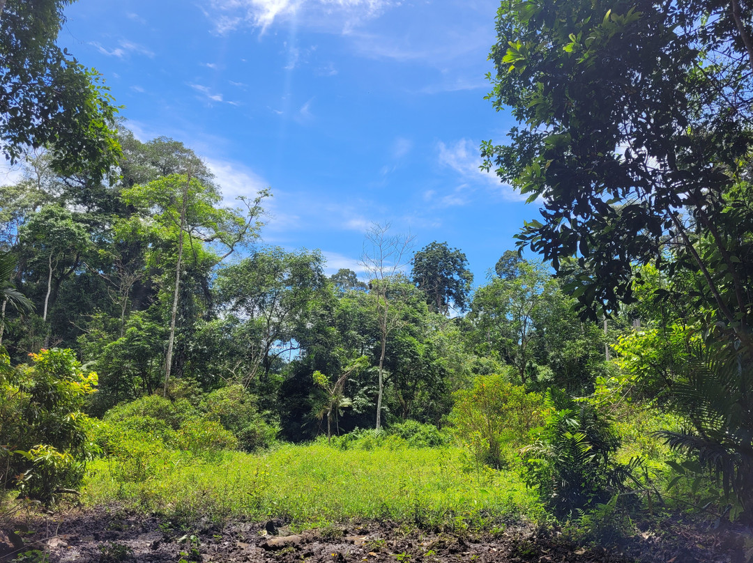 Khoa Yai and Beyond-考艾国家公园必去景点